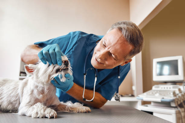 Best Broken Tooth Emergency  in Bethlehem, PA